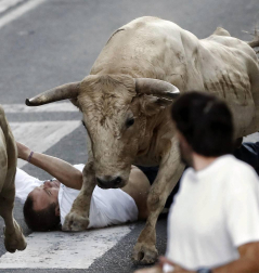 Las vacas de la ganadería Prieto de la Cal, de Huelva, han dejado dos trasladados al CHN, uno por dos cornadas en el muslo derecho.