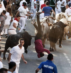 Las vacas de la ganadería Prieto de la Cal, de Huelva, han dejado dos trasladados al CHN, uno por dos cornadas en el muslo derecho.