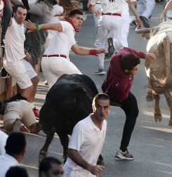 Las vacas de la ganadería Prieto de la Cal, de Huelva, han dejado dos trasladados al CHN, uno por dos cornadas en el muslo derecho.