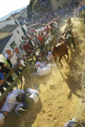 Las vacas de la ganadería Lastur, de Itziar (Guipúzcoa), han protagonizado un cuarto Pilón muy limpio y rápido.