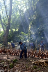 Imágenes del tradicional zikiro jate en Zugarramurdi, banquete que reunió a más de 800 comensales
