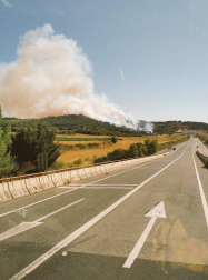 Bomberos forestales de los parques de Cordovilla, Tafalla y Estella y las dos Brigadas de Refuerzo en Incendios Forestales  han acudido a la zona donde se ha extendido el fuego. 
