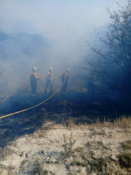 Bomberos forestales de los parques de Cordovilla, Tafalla y Estella y las dos Brigadas de Refuerzo en Incendios Forestales  han acudido a la zona donde se ha extendido el fuego. 