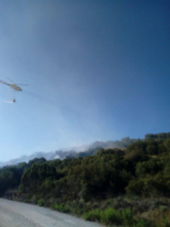 Bomberos forestales de los parques de Cordovilla, Tafalla y Estella y las dos Brigadas de Refuerzo en Incendios Forestales  han acudido a la zona donde se ha extendido el fuego. 