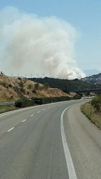 Bomberos forestales de los parques de Cordovilla, Tafalla y Estella y las dos Brigadas de Refuerzo en Incendios Forestales  han acudido a la zona donde se ha extendido el fuego. 