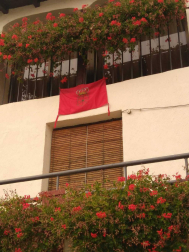 Fotos enviadas por los lectores de la bandera de Navarra colocada en sus casas y balcones.