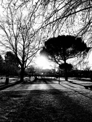 El invierno, retratado por los lectores de Diariodenavarra.es.