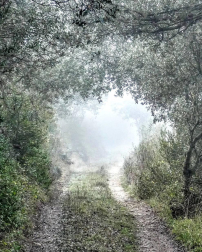 El invierno, retratado por los lectores de Diariodenavarra.es.