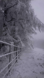 El invierno, retratado por los lectores de Diariodenavarra.es.