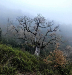 El invierno, retratado por los lectores de Diariodenavarra.es.