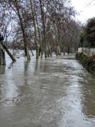 Fotos del temporal en Navarra de los lectores