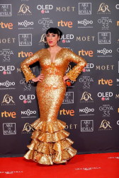 Los primeros invitados a la 33 ceremonia de los Premios Goya han comenzado a llegar a la alfombra roja del Palacio de Exposiciones y Congresos de Sevilla (FIBES) hacia las 18.20 horas de este sábado 2 de febrero