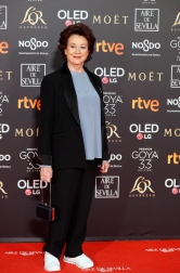Los primeros invitados a la 33 ceremonia de los Premios Goya han comenzado a llegar a la alfombra roja del Palacio de Exposiciones y Congresos de Sevilla (FIBES) hacia las 18.20 horas de este sábado 2 de febrero