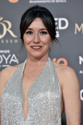Los primeros invitados a la 33 ceremonia de los Premios Goya han comenzado a llegar a la alfombra roja del Palacio de Exposiciones y Congresos de Sevilla (FIBES) hacia las 18.20 horas de este sábado 2 de febrero