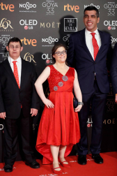 Los primeros invitados a la 33 ceremonia de los Premios Goya han comenzado a llegar a la alfombra roja del Palacio de Exposiciones y Congresos de Sevilla (FIBES) hacia las 18.20 horas de este sábado 2 de febrero