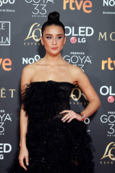 Los primeros invitados a la 33 ceremonia de los Premios Goya han comenzado a llegar a la alfombra roja del Palacio de Exposiciones y Congresos de Sevilla (FIBES) hacia las 18.20 horas de este sábado 2 de febrero