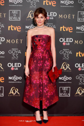 Los primeros invitados a la 33 ceremonia de los Premios Goya han comenzado a llegar a la alfombra roja del Palacio de Exposiciones y Congresos de Sevilla (FIBES) hacia las 18.20 horas de este sábado 2 de febrero