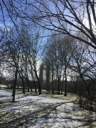La borrasca 'Helena' cubre de nieve Pamplona y buena parte de Navarra