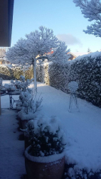 La borrasca 'Helena' cubre de nieve Pamplona y buena parte de Navarra