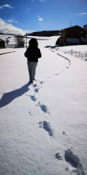 La borrasca 'Helena' cubre de nieve Pamplona y buena parte de Navarra