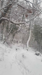 La borrasca 'Helena' cubre de nieve Pamplona y buena parte de Navarra