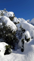 La borrasca 'Helena' cubre de nieve Pamplona y buena parte de Navarra