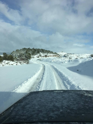 La borrasca 'Helena' cubre de nieve Pamplona y buena parte de Navarra