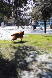 La borrasca 'Helena' cubre de nieve Pamplona y buena parte de Navarra