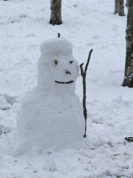 La borrasca 'Helena' cubre de nieve Pamplona y buena parte de Navarra
