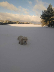 La borrasca 'Helena' cubre de nieve Pamplona y buena parte de Navarra