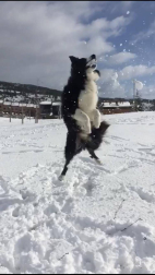 La borrasca 'Helena' cubre de nieve Pamplona y buena parte de Navarra