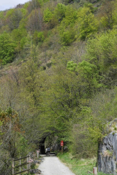 Entre túneles de piedra y vegetación en el Día de las Vías Verdes