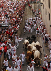 Imágenes del primer encierro de los sanfermines 2019 protagonizado por toros de Puerto de San Lorenzo.