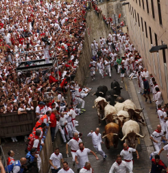 Imágenes del primer encierro de los sanfermines 2019 protagonizado por toros de Puerto de San Lorenzo.