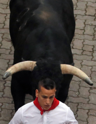 Imágenes del primer encierro de los sanfermines 2019 protagonizado por toros de Puerto de San Lorenzo.