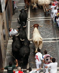 Imágenes del primer encierro de los sanfermines 2019 protagonizado por toros de Puerto de San Lorenzo.