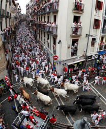 Imágenes del primer encierro de los sanfermines 2019 protagonizado por toros de Puerto de San Lorenzo.