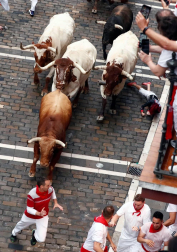 Imágenes del primer encierro de los sanfermines 2019 protagonizado por toros de Puerto de San Lorenzo.