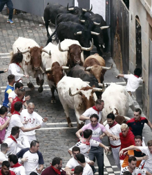 Imágenes del primer encierro de los sanfermines 2019 protagonizado por toros de Puerto de San Lorenzo.