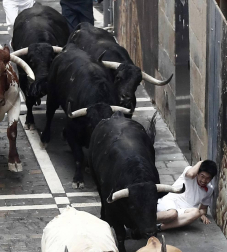 Imágenes del primer encierro de los sanfermines 2019 protagonizado por toros de Puerto de San Lorenzo.