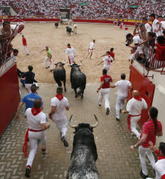 Imágenes del segundo encierro de los sanfermines 2019 protagonizado por toros de Cebada Gago.