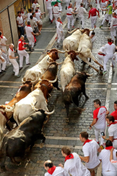 Imágenes del segundo encierro de los sanfermines 2019 protagonizado por toros de Cebada Gago.