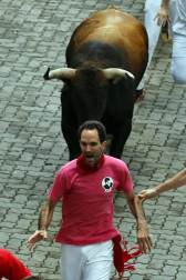 Imágenes del segundo encierro de los sanfermines 2019 protagonizado por toros de Cebada Gago.