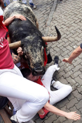 Imágenes del segundo encierro de los sanfermines 2019 protagonizado por toros de Cebada Gago.