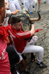 Imágenes del segundo encierro de los sanfermines 2019 protagonizado por toros de Cebada Gago.