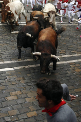 Imágenes del segundo encierro de los sanfermines 2019 protagonizado por toros de Cebada Gago.