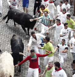 Imágenes del segundo encierro de los sanfermines 2019 protagonizado por toros de Cebada Gago.