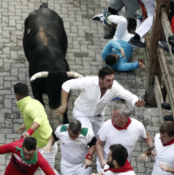 Imágenes del segundo encierro de los sanfermines 2019 protagonizado por toros de Cebada Gago.