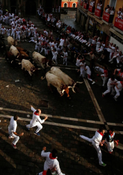 Imágenes del segundo encierro de los sanfermines 2019 protagonizado por toros de Cebada Gago.
