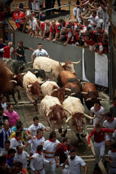 Imágenes del segundo encierro de los sanfermines 2019 protagonizado por toros de Cebada Gago.